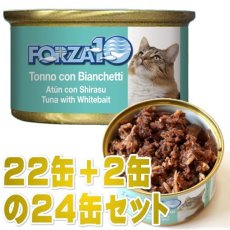 画像1: 最短賞味2025.11・フォルツァ10 猫 メンテナンス マグロ＆シラス 85g×24缶 ウェット キャットフード FORZA10正規品fo05661s24 (1)
