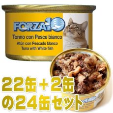 画像1: 最短賞味2026.10・フォルツァ10 猫 メンテナンス マグロ＆白身魚 85g×24缶 成猫シニア猫対応ウェット一般食キャットフードFORZA10正規品fo05678s24 (1)