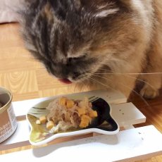 画像6: 最短賞味2025.11・プレミアム フォルツァ10 猫 グルメ缶 チキンとマグロとチーズ 75g×24缶 成猫用一般食FORZA10正規品fo05753s24 (6)