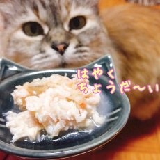 画像5: 最短賞味2025.11・プレミアム フォルツァ10 猫 グルメ缶 チキンと小エビ 75g缶 成猫用 一般食 FORZA10 正規品 fo05777 (5)