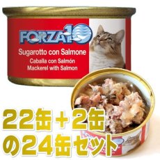 画像1: 最短賞味2026.10・フォルツァ10 猫 メンテナンス サバ＆サーモン 85g×24缶 ウェット キャットフード FORZA10正規品fo05876s24 (1)