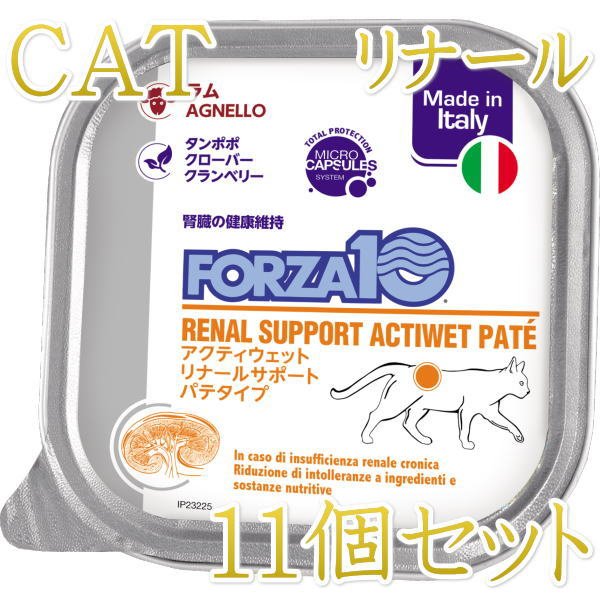 10＋1セット・最短賞味2027.3・フォルツァ10 猫 アクティ