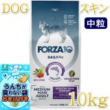 おまけ付き！最短賞味2026.12・フォルツァ10 犬 デイリープロ