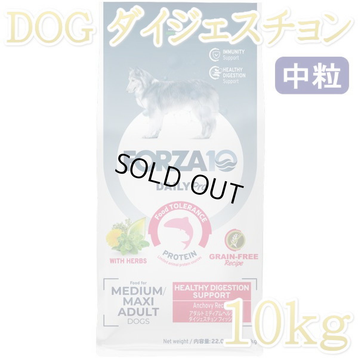 画像1: NEW 最短賞味2027.6・フォルツァ10 犬 デイリープロ ミディアム ヘルシーダイジェスチョン フィッシュ中粒10kg/fo13710成犬用ドッグフード正規品 (1)