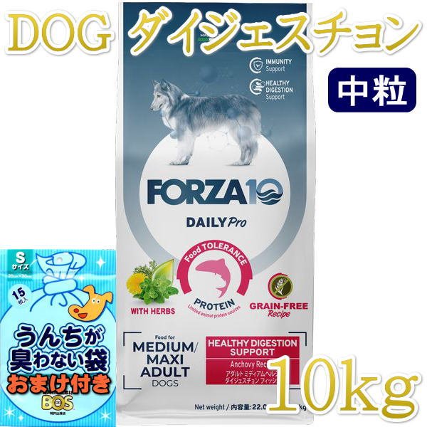 SALE/おまけ付き!最短賞味2026.9・フォルツァ10 犬 デイリー SALE/おまけ付き!最短賞味2026.9・フォルツァ10 犬 デイリー
