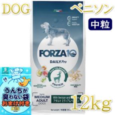 画像1: NEW おまけ付き！最短賞味2026.9・フォルツァ10 犬 デイリープロ ミディアム ベニソン中粒12kg/fo13758成犬用ドッグフード正規品 (1)