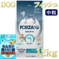 画像1: NEW おまけ付き！最短賞味2026.9・フォルツァ10 犬 デイリープロ ミディアム フィッシュ中粒12kg/fo13765成犬用ドッグフード正規品 (1)
