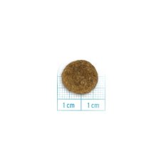画像2: NEW 最短賞味2027.6・フォルツァ10 犬 デイリープロ ミディアム ポーク中粒12kg/fo13789成犬用ドッグフード正規品 (2)