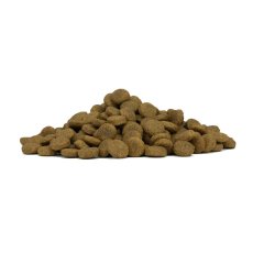 画像4: NEW 最短賞味2027.6・フォルツァ10 犬 デイリープロ ミディアム ポーク中粒12kg/fo13789成犬用ドッグフード正規品 (4)