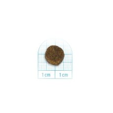 画像2: NEW 最短賞味2027.6・フォルツァ10 犬 デイリープロ ミニ ヘルシーダイジェスチョン フィッシュ小粒1.5kg/fo13796成犬用ドッグフード正規品 (2)