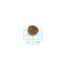 画像2: NEW 最短賞味2027.6・フォルツァ10 犬 デイリープロ ミニ ポーク小粒1.5kg/fo13819成犬用ドッグフード正規品 (2)