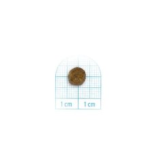 画像2: NEW 最短賞味2027.6・フォルツァ10 犬 デイリープロ ミニ ホース小粒1.5kg/fo13857成犬用ドッグフード正規品 (2)