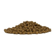画像4: NEW 最短賞味2027.6・フォルツァ10 犬 デイリープロ ミニ ホース小粒1.5kg/fo13857成犬用ドッグフード正規品 (4)