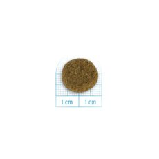 画像2: NEW 最短賞味2027.6・フォルツァ10 犬 デイリープロ ミディアム ホース中粒12kg/fo14069成犬用ドッグフード正規品 (2)