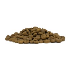画像4: NEW 最短賞味2027.6・フォルツァ10 犬 デイリープロ ミディアム ホース中粒12kg/fo14069成犬用ドッグフード正規品 (4)