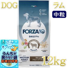 画像1: NEW おまけ付き！最短賞味2026.9・フォルツァ10 犬 デイリープロ ミディアム ラム中粒12kg/fo14106成犬用ドッグフード正規品 (1)