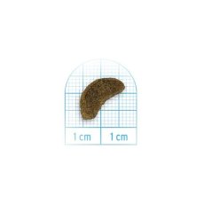 画像2: NEW 最短賞味2026.2・フォルツァ10 猫 Daily Pro アダルトフィッシュ キャット 1.5kg fo14113成猫用キャットフードFORZA10正規品 (2)