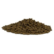 画像4: NEW 最短賞味2026.2・フォルツァ10 猫 Daily Pro アダルトフィッシュ キャット 400g fo14120成猫用キャットフードFORZA10正規品 (4)