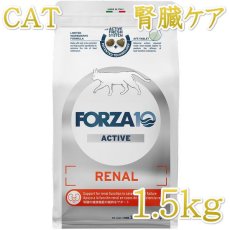 画像1: NEW 最短賞味2026.7・フォルツァ10 猫 リナール アクティブ キャット1.5kg fo14229成猫シニア猫 腎臓ケア キャットフード正規品 (1)
