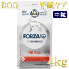 画像1: NEW 最短賞味2026.9・フォルツァ10 犬ミディアム リナール アクティブ 中粒4kg fo14236腎臓ケア成犬用ドッグフードFORZA10正規品 (1)