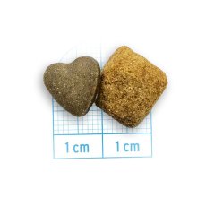 画像2: NEW 最短賞味2026.9・フォルツァ10 犬ミディアム リナール アクティブ 中粒4kg fo14236腎臓ケア成犬用ドッグフードFORZA10正規品 (2)