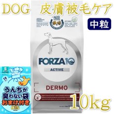 画像1: NEW 最短賞味2026.10・フォルツァ10 犬ミディアム デルモ アクティブ中粒 10kg大袋fo14243皮膚・被毛ケアFORZA10正規品 (1)