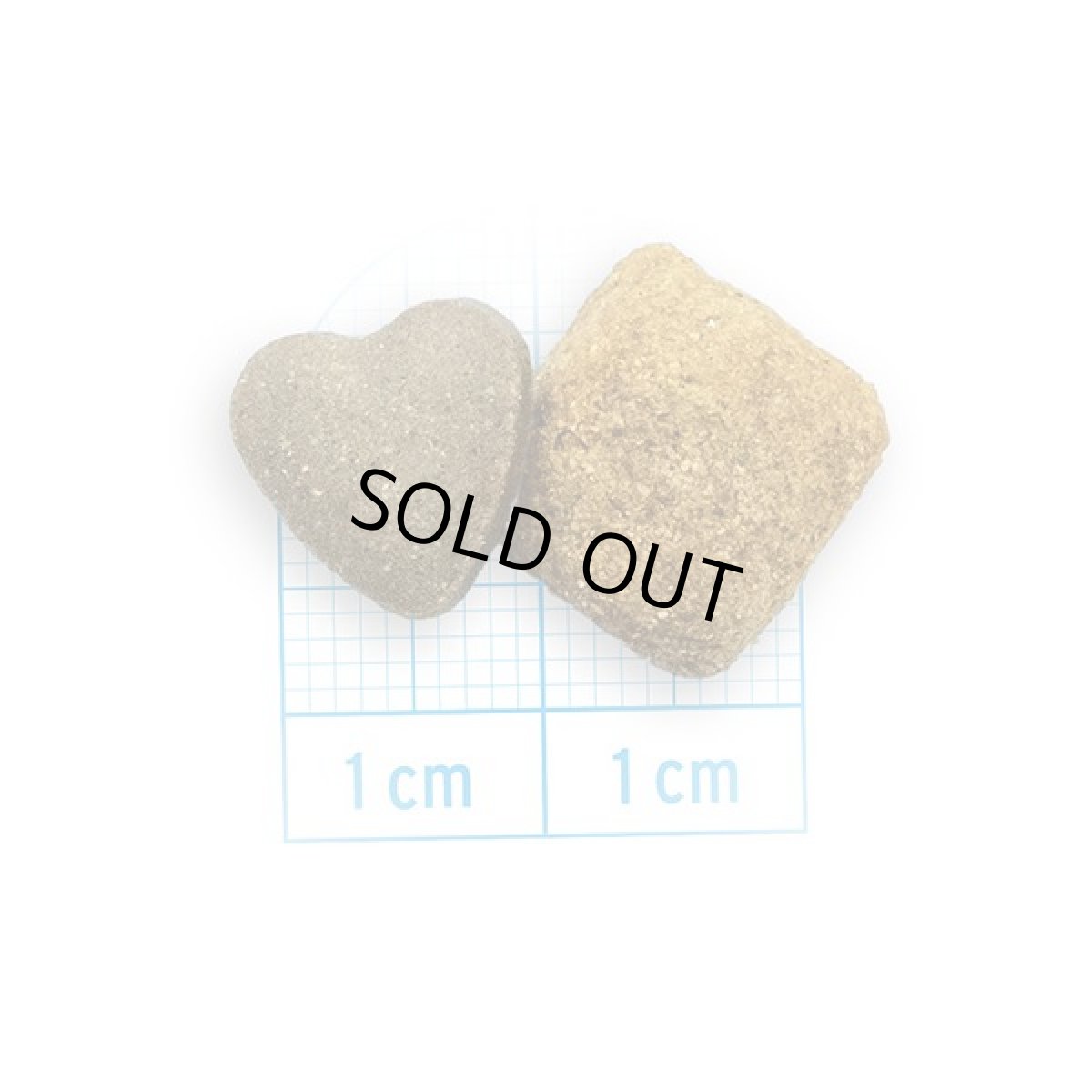 画像2: SALE/おまけ付き！最短賞味2027.2・フォルツァ10 犬ミディアム デルモ アクティブ中粒 10kg+(小粒250g2個付き)fo14243皮膚・被毛ケア 正規品 (2)