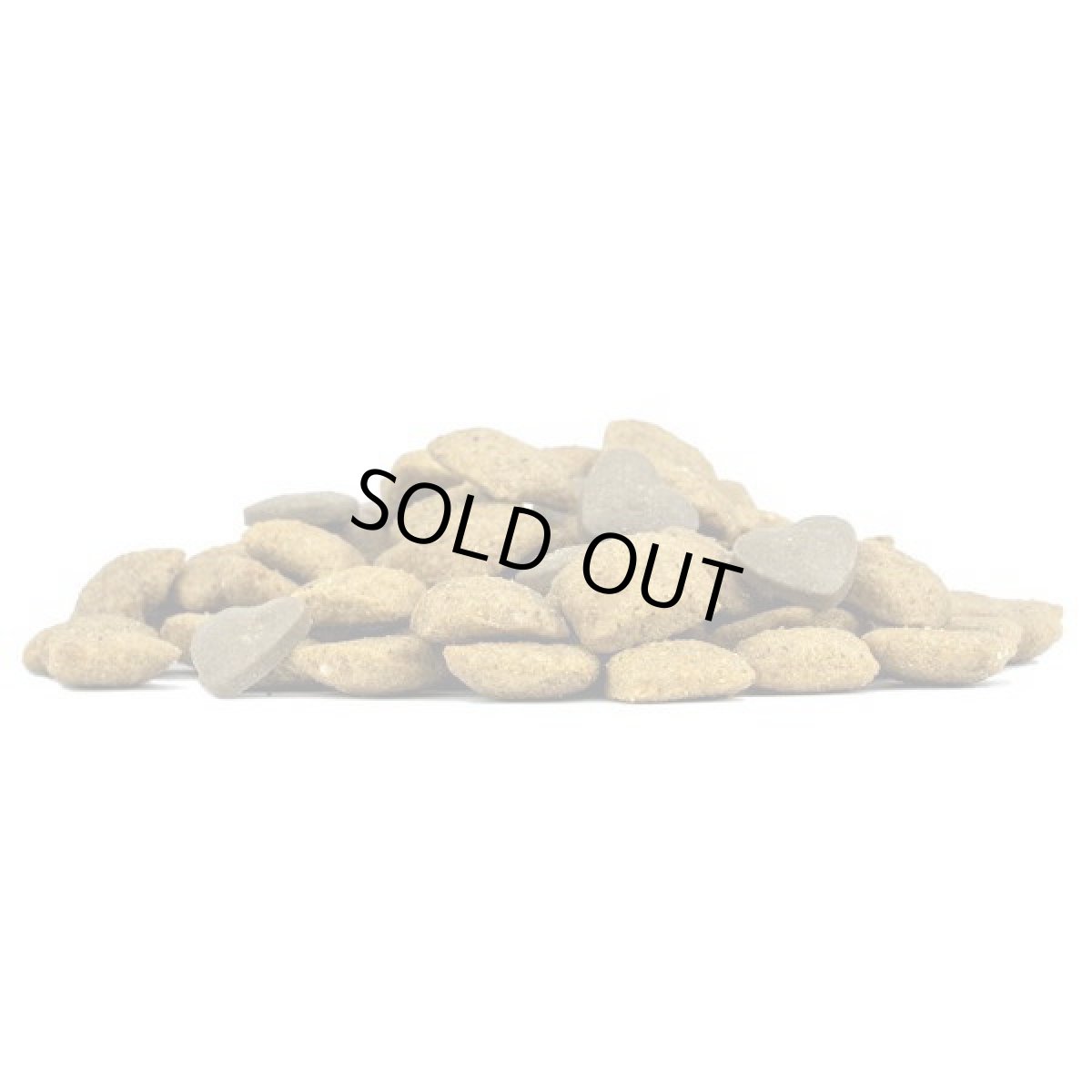 画像4: SALE/おまけ付き！最短賞味2027.2・フォルツァ10 犬ミディアム デルモ アクティブ中粒 10kg+(小粒250g2個付き)fo14243皮膚・被毛ケア 正規品 (4)