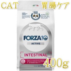 画像1: NEW 最短賞味2026.9・フォルツァ10 猫 インテスティナル アクティブ400g fo14359猫用療法食 胃腸ケアFORZA10正規品 (1)