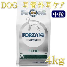 画像1: NEW 最短賞味2026.6・フォルツァ10 犬ミディアム エコー アクティブ中粒 4kg fo14373耳管・外耳ケアFORZA10正規品 (1)