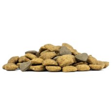 画像4: NEW 最短賞味2026.6・フォルツァ10 犬ミディアム エコー アクティブ中粒 4kg fo14373耳管・外耳ケアFORZA10正規品 (4)