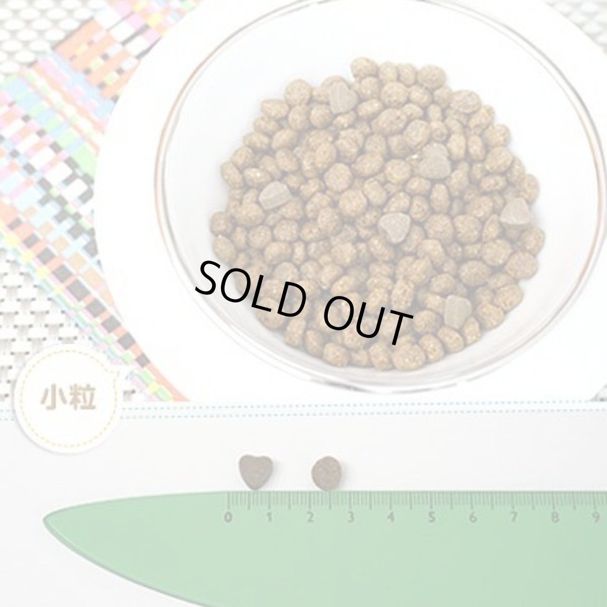 画像2: SALE/賞味切迫2026.9・フォルツァ10 猫 ハイポアレルジェニック アクティブ1.5kg fo14410成猫シニア猫キャットフード正規品 (2)