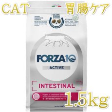 画像1: NEW 最短賞味2026.7・フォルツァ10 猫 インテスティナル アクティブ1.5kg fo14427猫用療法食 胃腸ケアFORZA10正規品 (1)