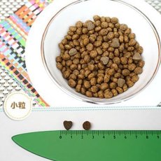 画像2: NEW 最短賞味2026.7・フォルツァ10 猫 インテスティナル アクティブ1.5kg fo14427猫用療法食 胃腸ケアFORZA10正規品 (2)