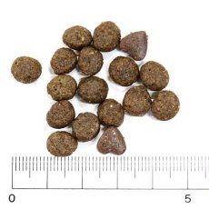 画像2: NEW 最短賞味2026.6・フォルツァ10 犬ミ二 エコー アクティブ小粒 1.5kg fo14458耳管・外耳ケアFORZA10正規品 (2)