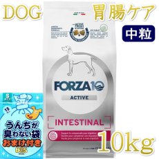 画像1: NEW おまけ付き！最短賞味2026.10・フォルツァ10 犬ミディアム インテシティナル アクティブ中粒 10kg大袋fo14496胃腸ケア FORZA10正規品 (1)