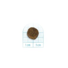 画像2: NEW 最短賞味2026.5.31・フォルツァ10 仔犬 デイリープロ パピーフィッシュ小粒600g/fo72087仔犬用ドッグフード正規品 (2)