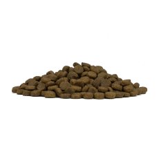 画像3: NEW 最短賞味2026.5.31・フォルツァ10 犬 デイリープロ ミニ フィッシュ小粒600g/fo72094成犬用ドッグフード正規品 (3)
