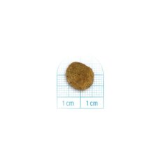 画像2: NEW 最短賞味2026.9.30・フォルツァ10 犬 デイリープロ ミニ ベニソン小粒600g/fo72124成犬用ドッグフード正規品 (2)