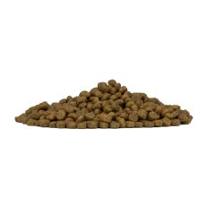 画像3: NEW 最短賞味2027.6・フォルツァ10 犬 デイリープロ ミニ ヘルシースキン フィッシュ小粒600g/fo72148成犬用ドッグフード正規品 (3)