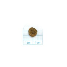 画像2: NEW 最短賞味2026.9.30・フォルツァ10 犬 デイリープロ ミニ ラム小粒3.6kg/fo72193成犬用ドッグフード正規品 (2)