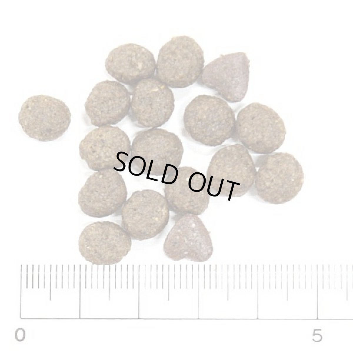 画像2: SALE/賞味切迫2026.9・フォルツァ10 犬ミニ インテシティナル アクティブ小粒 250g fo72278胃腸ケア FORZA10正規品 (2)
