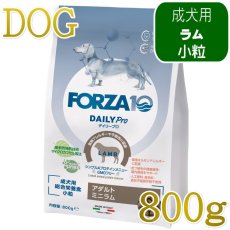 画像1: NEW 最短賞味・フォルツァ10 犬 デイリープロ ミニ ラム小粒800g/fo72810成犬用ドッグフード正規品 (1)