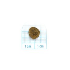 画像2: NEW 最短賞味・フォルツァ10 犬 スペシャルケア ヘルシースキン 800g fo72841皮膚ケア成犬用ドッグフードFORZA10正規品 (2)