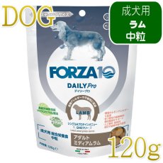 画像1: NEW 最短賞味・フォルツァ10 犬 デイリープロ ミディアム ラム中粒120g/fo72889成犬用ドッグフード正規品 (1)