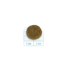 画像2: NEW 最短賞味・フォルツァ10 犬 デイリープロ ミディアム ラム中粒120g/fo72889成犬用ドッグフード正規品 (2)