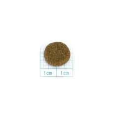 画像2: NEW 最短賞味・フォルツァ10 犬 デイリープロ ミディアム ポーク中粒120g/fo72902成犬用ドッグフード正規品 (2)