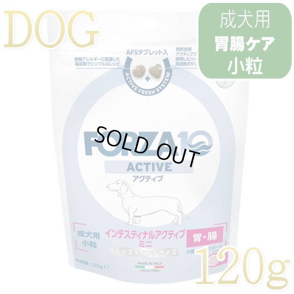 画像1: NEW 最短賞味・フォルツァ10 犬ミニ インテスティナル アクティブ小粒 120g fo73039胃腸ケア FORZA10正規品 (1)