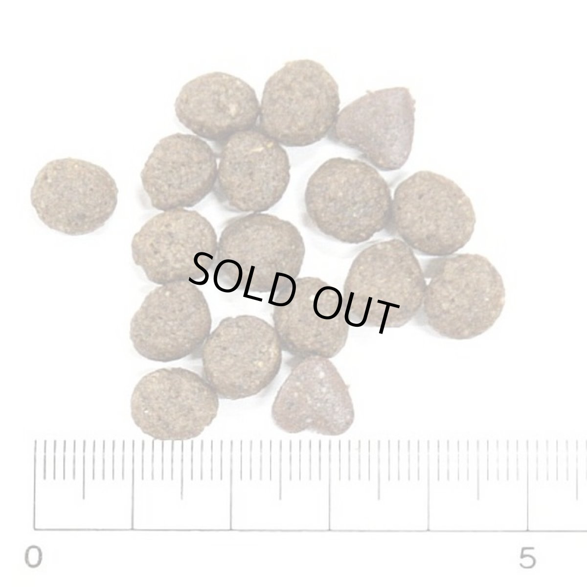 画像2: NEW 最短賞味・フォルツァ10 犬ミ二 リナール アクティブ 小粒120g fo73046腎臓ケア成犬用ドッグフードFORZA10正規品 (2)