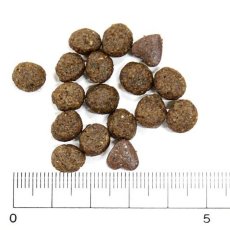 画像2: NEW 最短賞味・フォルツァ10 犬ミ二 リナール アクティブ 小粒120g fo73046腎臓ケア成犬用ドッグフードFORZA10正規品 (2)